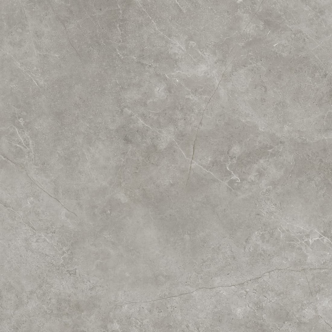 Xlight by Porcelanosa FIORI DI BOSCO
