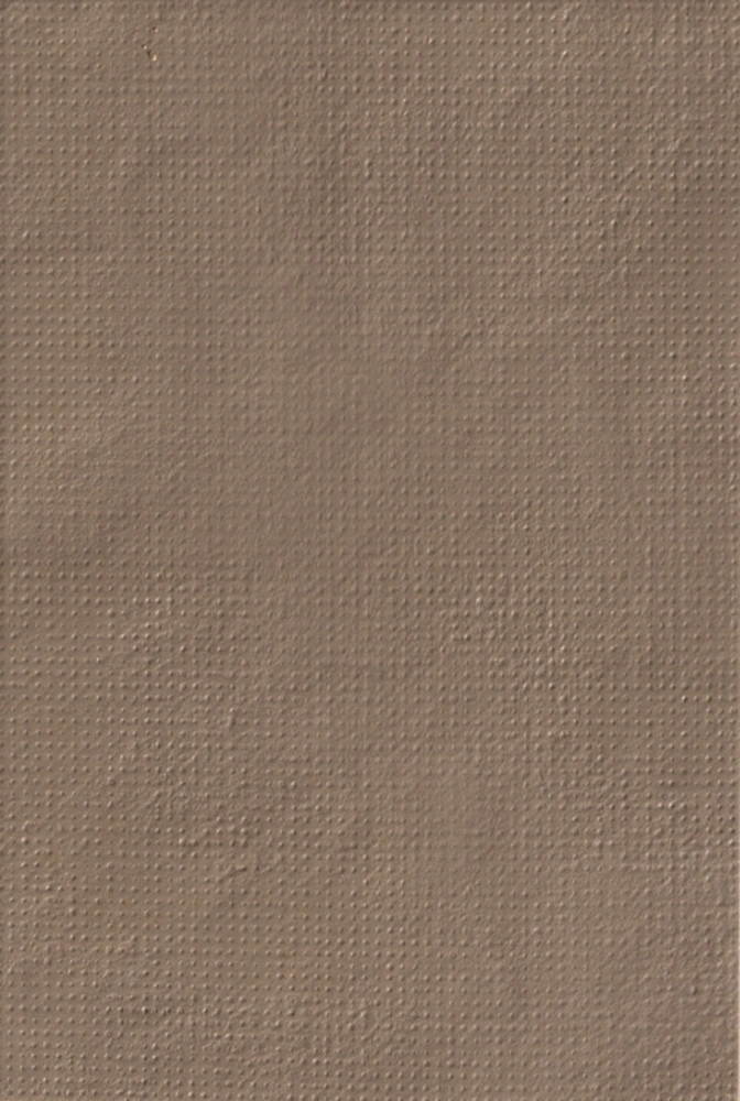 керамогранит BAS-RELIEF MUTINA CODE RELIEF CIPRIA 26.5х18