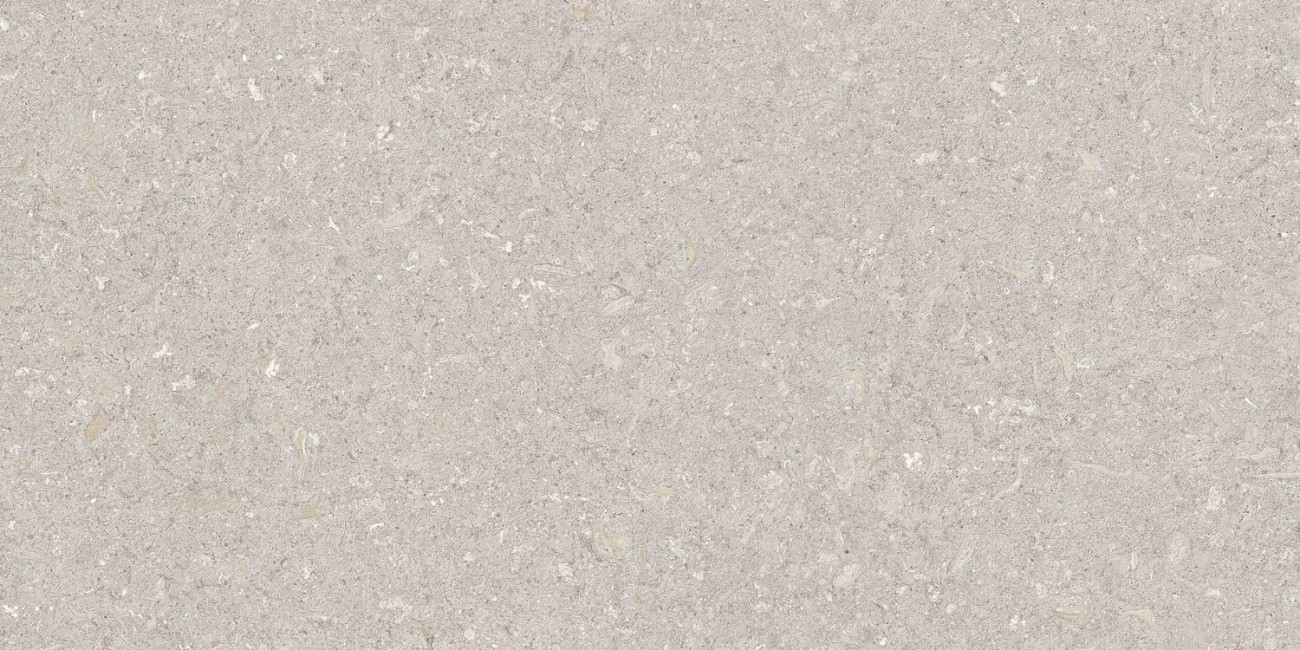 GRESPANIA VICENZA ANTICA GREY NATURAL 60х120