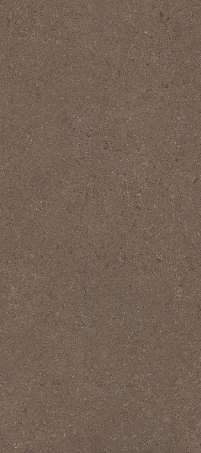 керамогранит GRESPANIA COVERLAM VICENZA ANTICA BROWN 120х278х0.56, фото 2