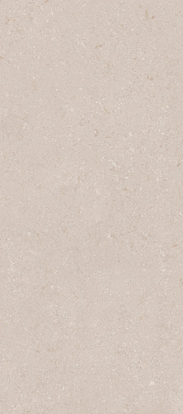 керамогранит GRESPANIA COVERLAM VICENZA ANTICA GREY 120х278х0.56, фото 3
