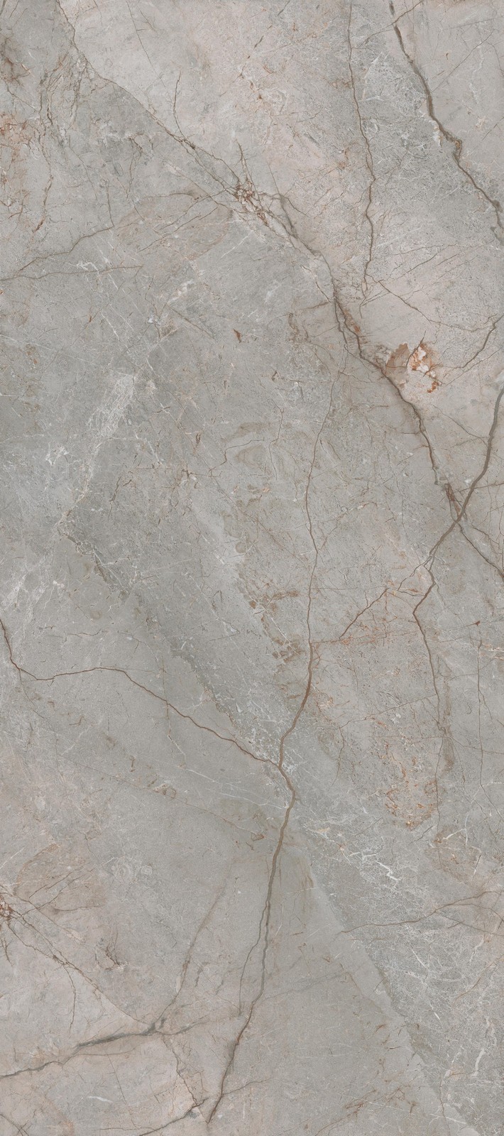 керамогранит GRESPANIA COVERLAM SILVER RIVER GREY 120х278x0.56, фото 4
