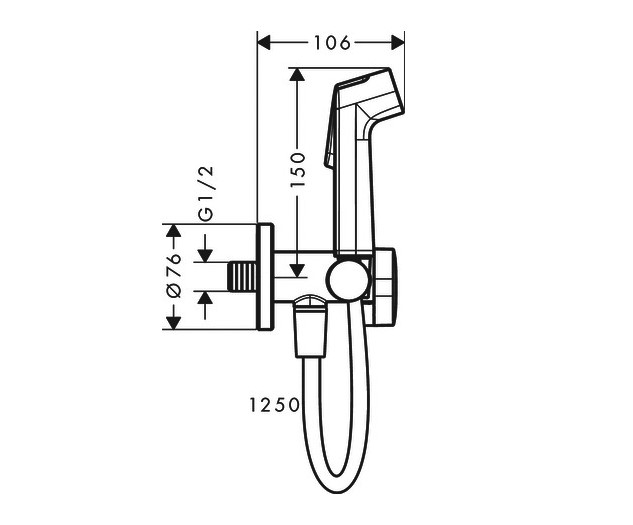 HANSGROHE Гигиенический душ S 1jet, EcoSmart+, со смесителем, шлиф ...