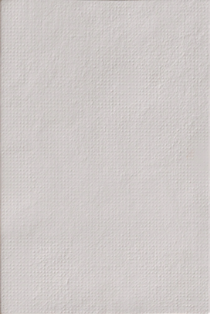 керамогранит BAS-RELIEF MUTINA CODE RELIEF BLANCO 26.5х18