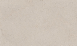 PORCELANOSA DORCIA ACERO L 120х120 G-392 мини 1