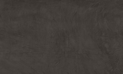 APAVISA EQUINOX ANTHRACITE NATURAL 119.3х260 G-3381 мини 1