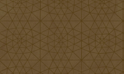 EGOIST 0.7х1 мини 1