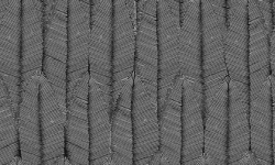 TRIBUTE 0.53х10.05 мини 1