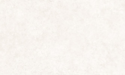 PERONDA GROUND BONE SP 100х275 BN-141 мини 1