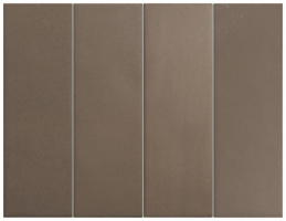 EQUIPE HIKARI BROWN 6х18.6 EQ-4