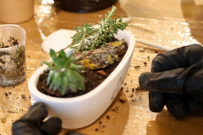 Весна с Salini