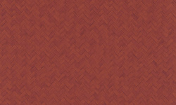 WILD 0.53х10.05 мини 1