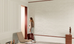 ORAC 3D ПАНЕЛЬ 250х16х2000 мини 3 2