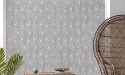 WILD 0.53х10.05 мини 3 2