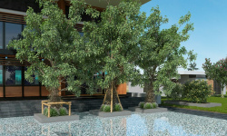 VIDREPUR NATURE AIR FORCE (2.5х2.5) 31.5х31.5 мини 3 2