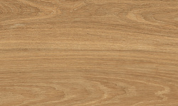 PERONDA TAOS HONEY 24х151x0.9 BN-93 мини 1