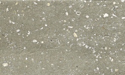 HARMONY TRACE GREEN PLAIN 6х30 M-70 мини 1