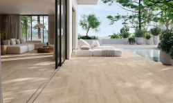 GRESPANIA OSLO ALERCE 19.5х120 мини 3 2