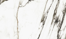 PORCELANOSA XLIGHT PAONAZZO BIONDO POLISHED 120х120х6 G-2531 мини 1