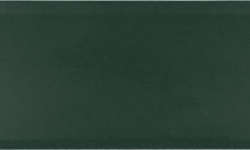 EQUIPE VIBE NEWPORT GREEN MATT IN 6.5х20 EQ-4 мини 1