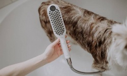 HG DogShower Душ для собак 150 3jet, с массажной струей: fur, leg, paw, матовый черный мини 3 6