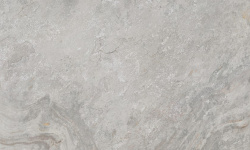 PORCELANOSA IMAGE SILVER 59.6х120 G-369 мини 1