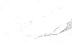 PORCELANOSA ARTIC GLOSS 45х120 G-270 мини 1