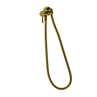 NOKEN Внешняя+внутр. часть смесителя для гигиенического душа, шланг 125 см, 8,6 л/мин, браш. золото