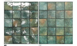 MAYOR TROPIC TURQUETA IN 14.7х14.7 M-813 мини 3 2