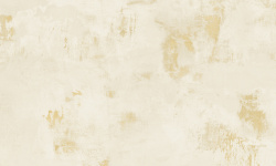 APAVISA MOOD IVORY NATURAL 49.75x99.55 G-7162 мини 3 3