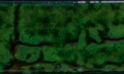 APARICI JOLIET JADE 7.4х29.75 G-574 мини 1