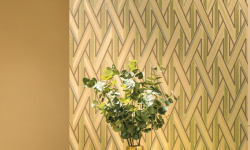 LOYMINA КОЛЛЕКЦИЯ EQUATOR. Geometry QTR5 мини 3 3