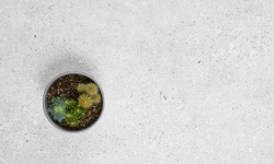 PERONDA MANHATTAN WHITE SP 100х100 BN-135 мини 3 6