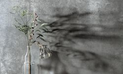 MIRAGE EXCALIBUR LY 03 SP SQ 120х278х6 мини 3 3