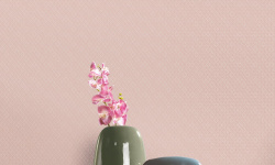 MILASSA КОЛЛЕКЦИЯ NEO CLASSIC. Neo5 мини 3 3