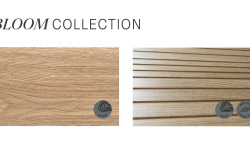 MUSEUM BLOOM DUNE SP 24х151x0.9 M-104 мини 3 5