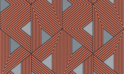 WILD 0.53х10.05 мини 1