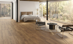 PERONDA VERBIER CIGAR AS 24х151x0.9 BN-121 мини 3 6