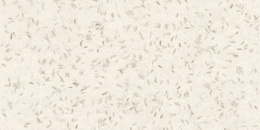 MIRAGE HANJI BEIGE PP SQ 60х120x0.9