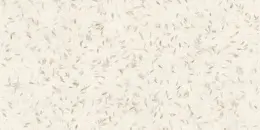 керамогранит PAPIER MIRAGE HANJI BEIGE PP SQ 60х120x0.9