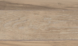 MIRAGE SAWDUST GY 02 CARMEN SP SQ 20х120x0.9 мини 3 5