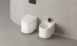 Salini GEMELLI Унитаз подвесной с крышкой, 530х410х420 мм, S-Stone-белый/RAL матовый снаружи мини 3 7