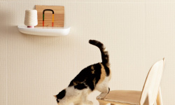 MUTINA PICO UP NATURAL BLANC 60х60 мини 3 9