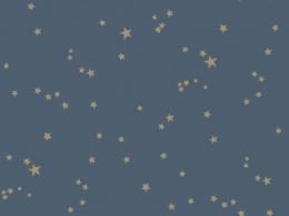 WHIMSICAL 0.52х10.05 