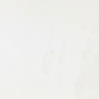 керамогранит PORCELANOSA RIVOLI L 80х80 G-369
