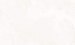 MUSEUM CHICAGO CLOUD NT 60х120x0.9 M-101 мини 1