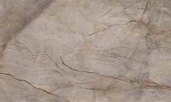 APAVISA WILD FOREST GREY NAT MIX 119.3х260 G-3397 мини 3 2