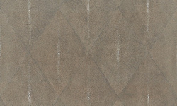 APARICI SHAGREEN COFFEE LAPPATO 59.55х59.55 G-3392 мини 1