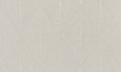 APARICI SHAGREEN WHITE LAPPATO 59.55x59.55 G-3392 мини 1