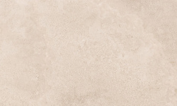 PORCELANOSA VERONA BONE 59.6х150 G-276 мини 3 2